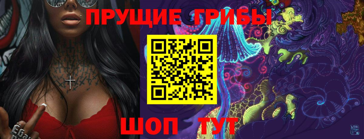 Псилоцибиновые грибы мицелий Лесной