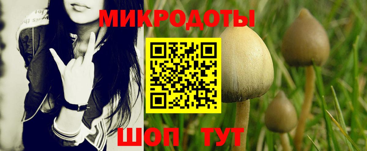 Галлюциногенные грибы GOLDEN TEACHER  Вход с VPN  Галлюциногенные грибы ЛСД  Лесной 